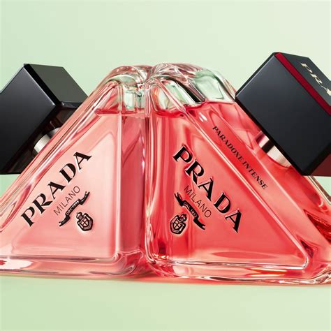 prada paradoxe intense notes smells like|prada paradoxe intense perfume review.